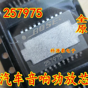 Оригинален Нов 257975 на чип за Автоматична Компютърна Платка с аудио Усилвател на Автомобилни Аксесоари
